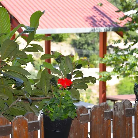 Green Mountain House Tatil Evi